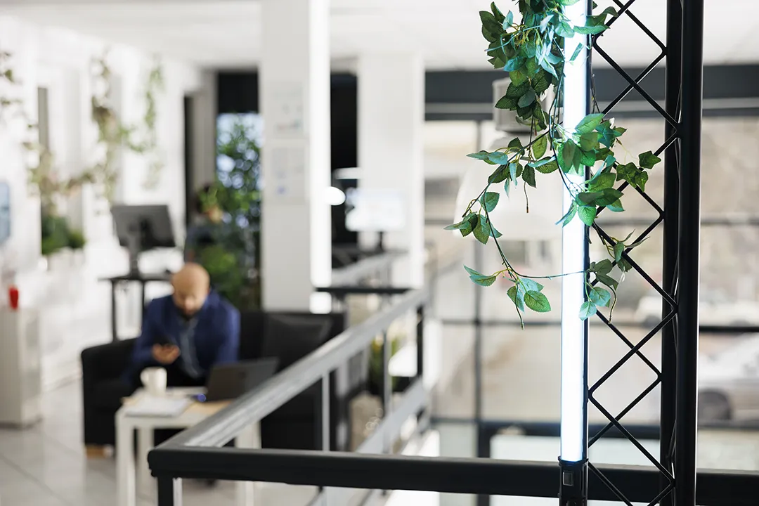 Indoor plants in a well-lit modern office.