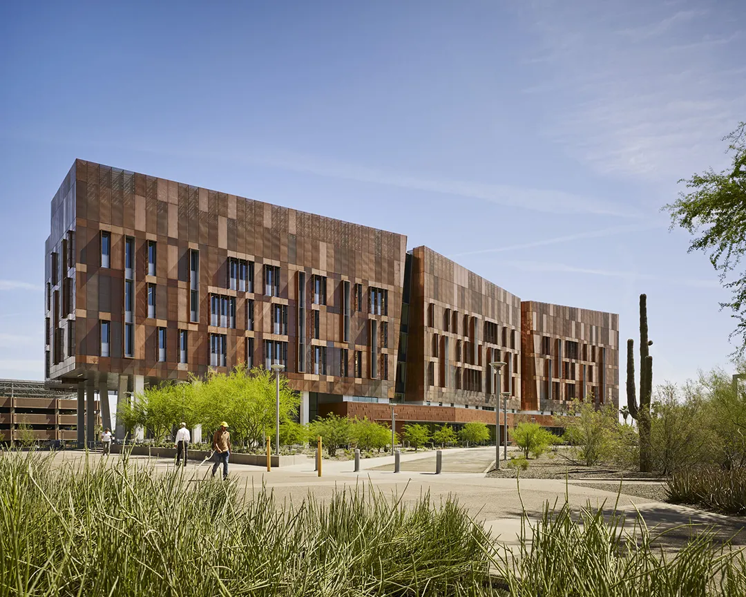 Desert-friendly biophilic design creates harmony with the Arizona landscape.