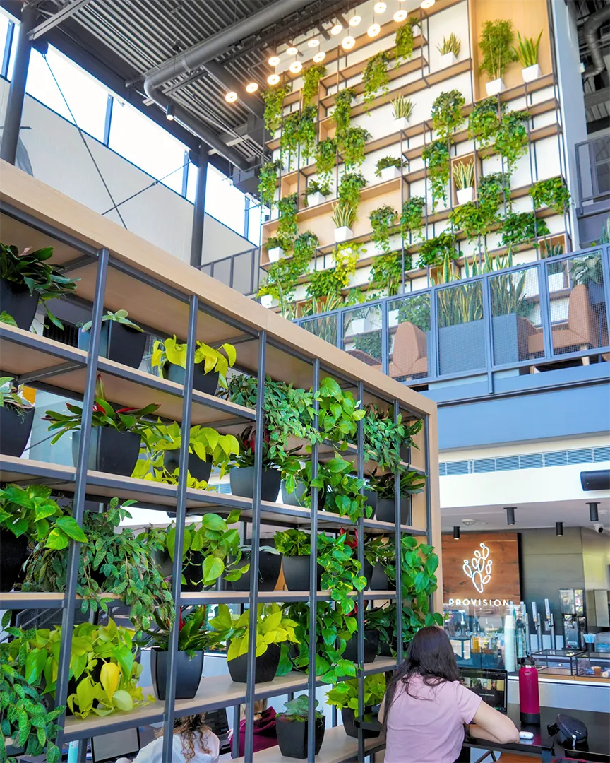 A vibrant potted plant wall in an indoor space, featuring a variety of plants in containers.