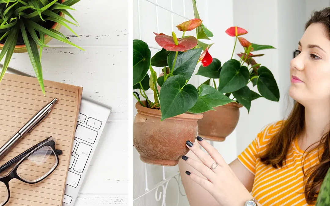 Are fake plants tacky? What you need to know about artificial plants