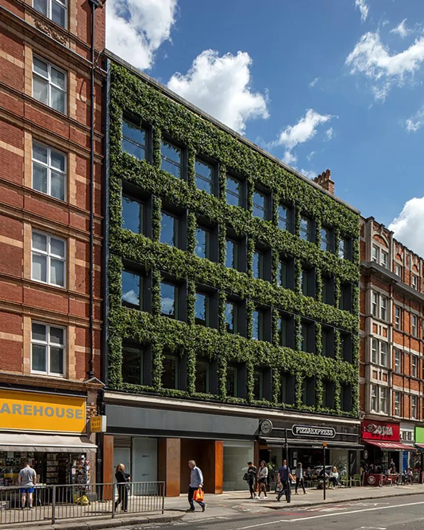 A green climbing plant wall on an outdoor building.