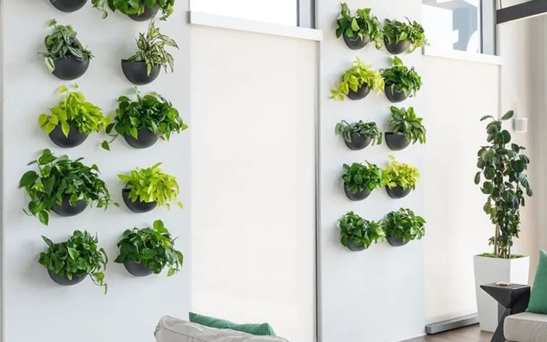 Living walls, plant walls, and adding color