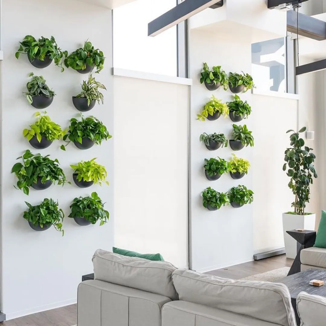 A wall-mounted plant display with individually potted greenery in a structured design.