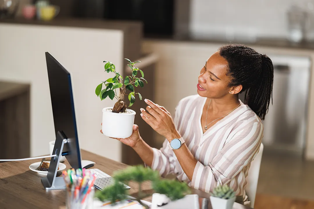 Smiling woman holding a small potted bonsai tree while working at her home office desk.