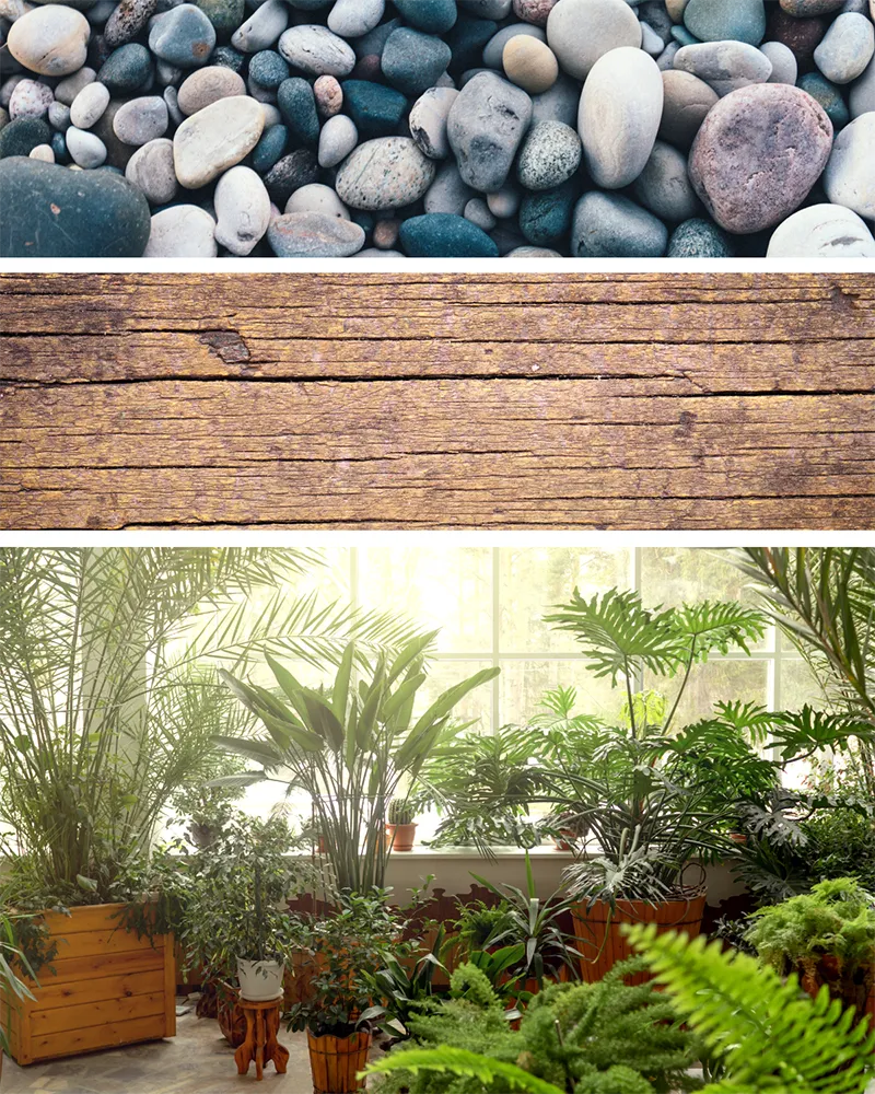 Biophilic design elements