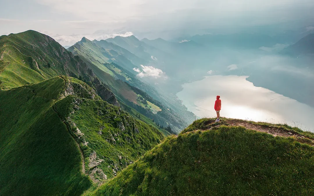 Explore Awe in Biophilic Design