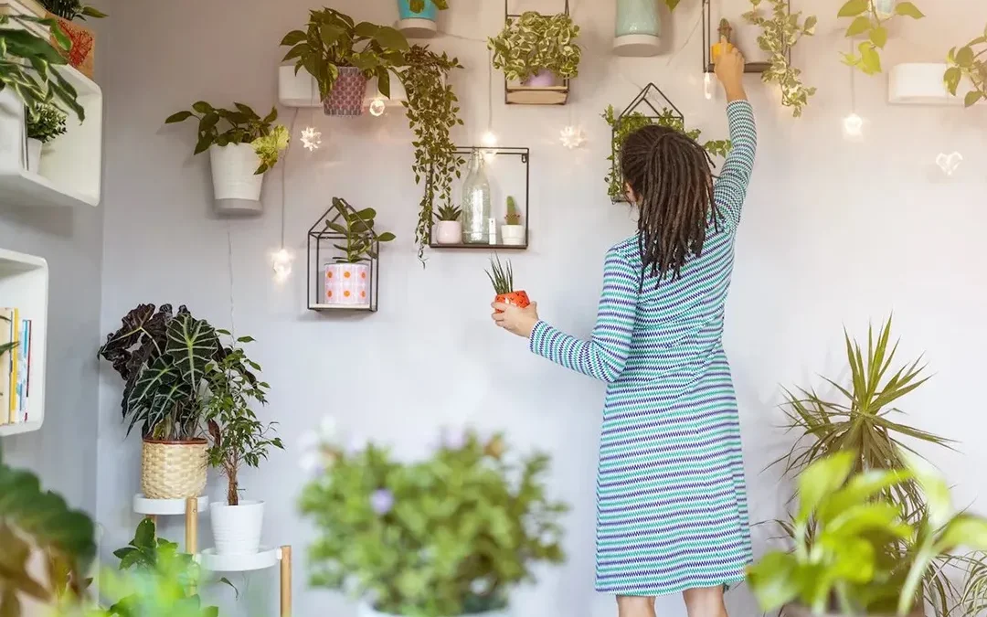 Biophilia and healing: nature for trauma recovery and mental health