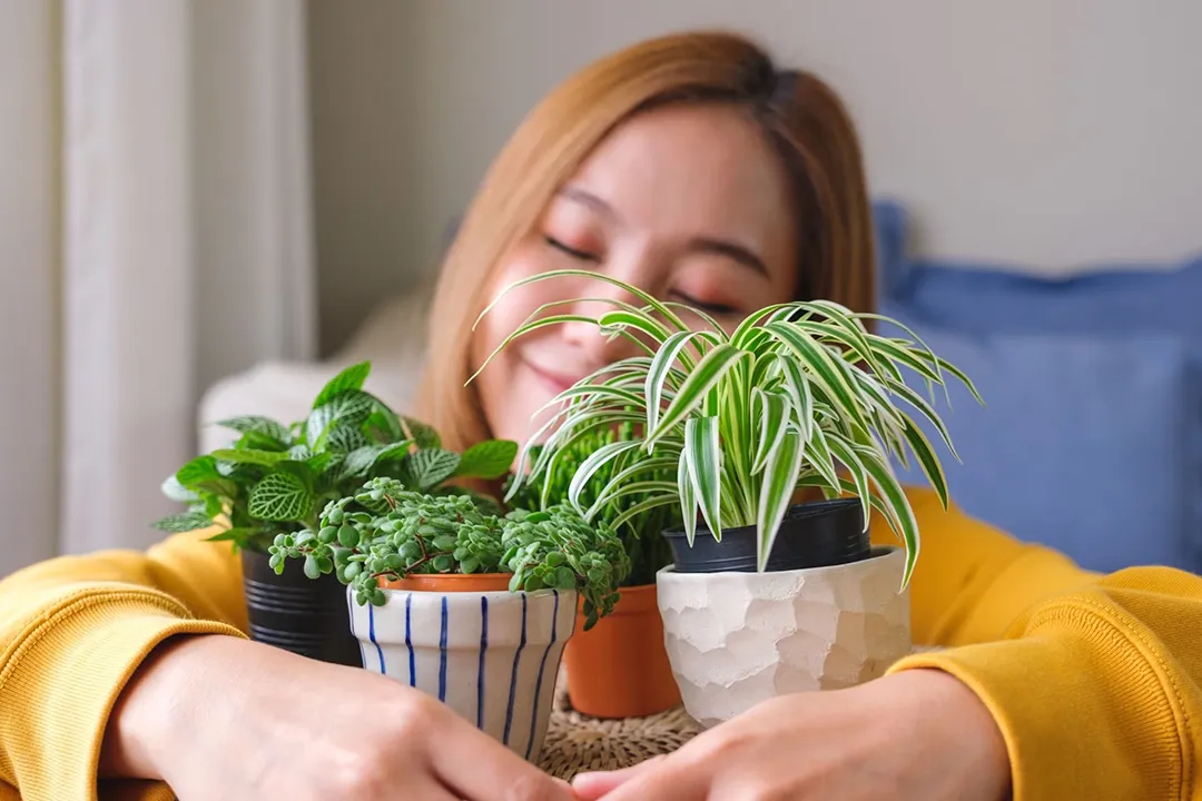 Woman lovingly wrapping her arms around a small gathering of potted plants.