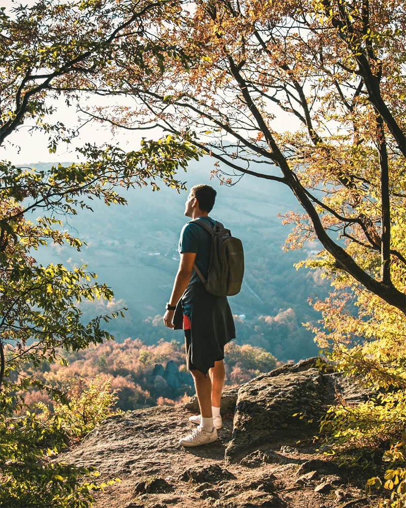 Man looking at the distant forest horizon from the peak of a forest hill.
