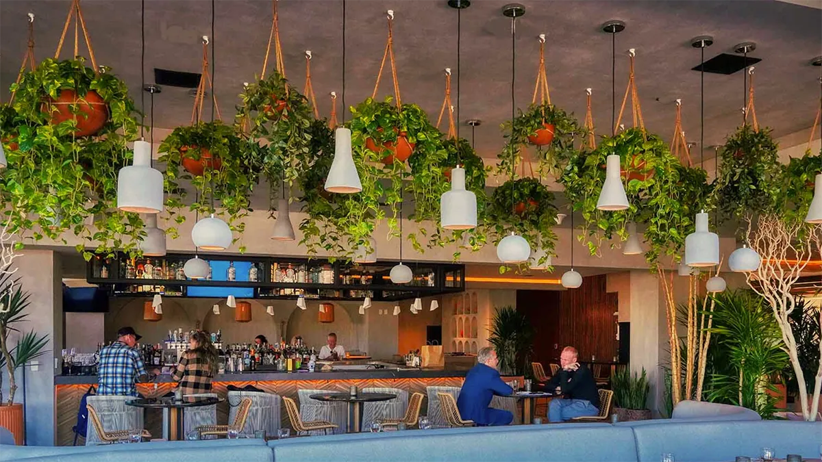 Ceiling plants enhance the experience of inhabiting a space, not just the aesthetic appearance.