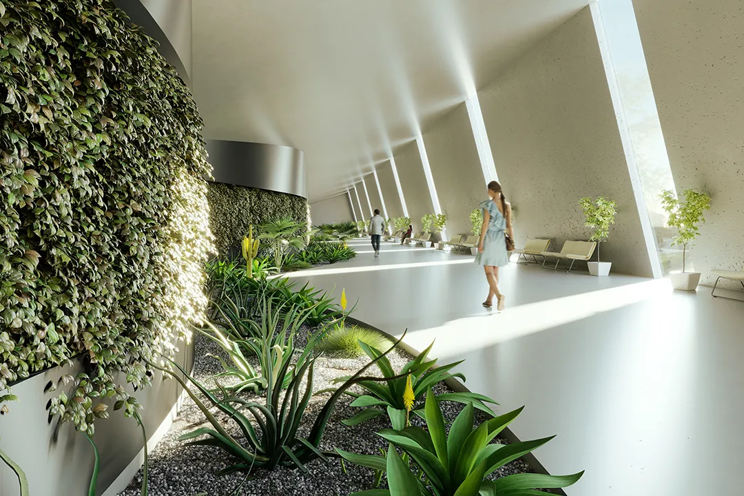 Office building hallway made tranquil with beautiful designed plant installations.