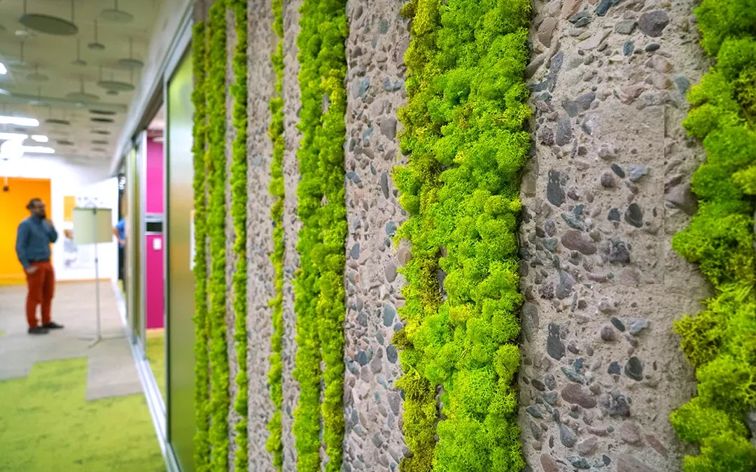 Plant design in Tempe workspaces: the experiential impact of office plants