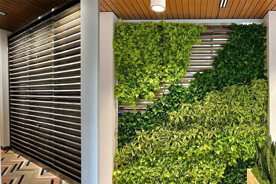 These side-by-side images show DNA’s tray-based plant wall installation during build out (left) and after greenery, almost to completion (right).