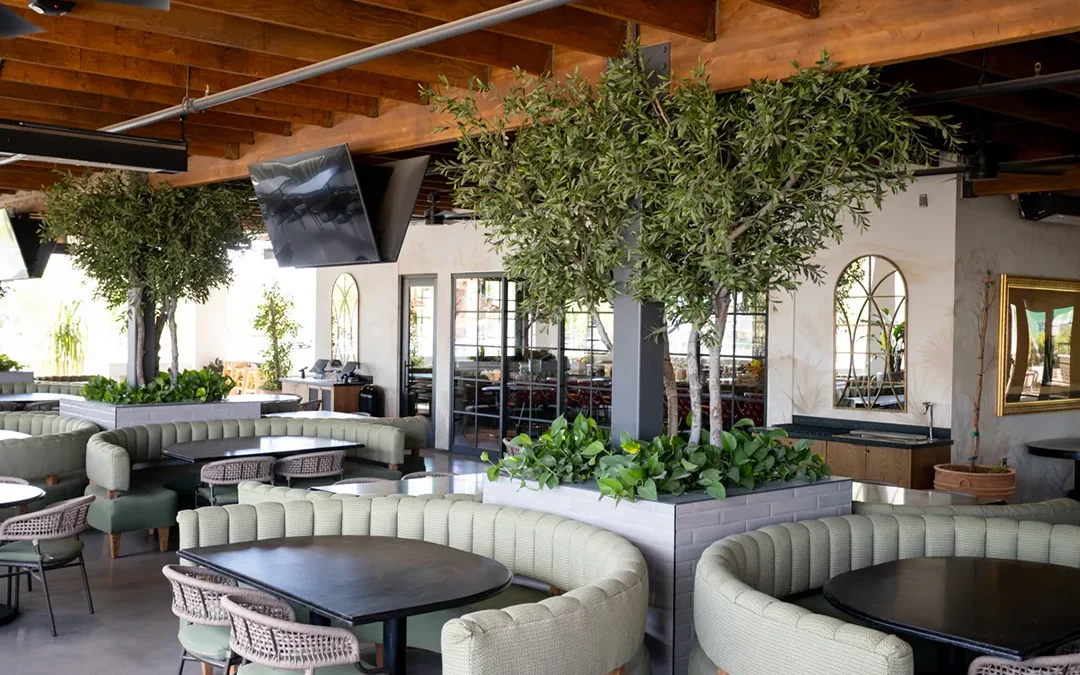 Chandler businesses are choosing fake plants for style and simplicity