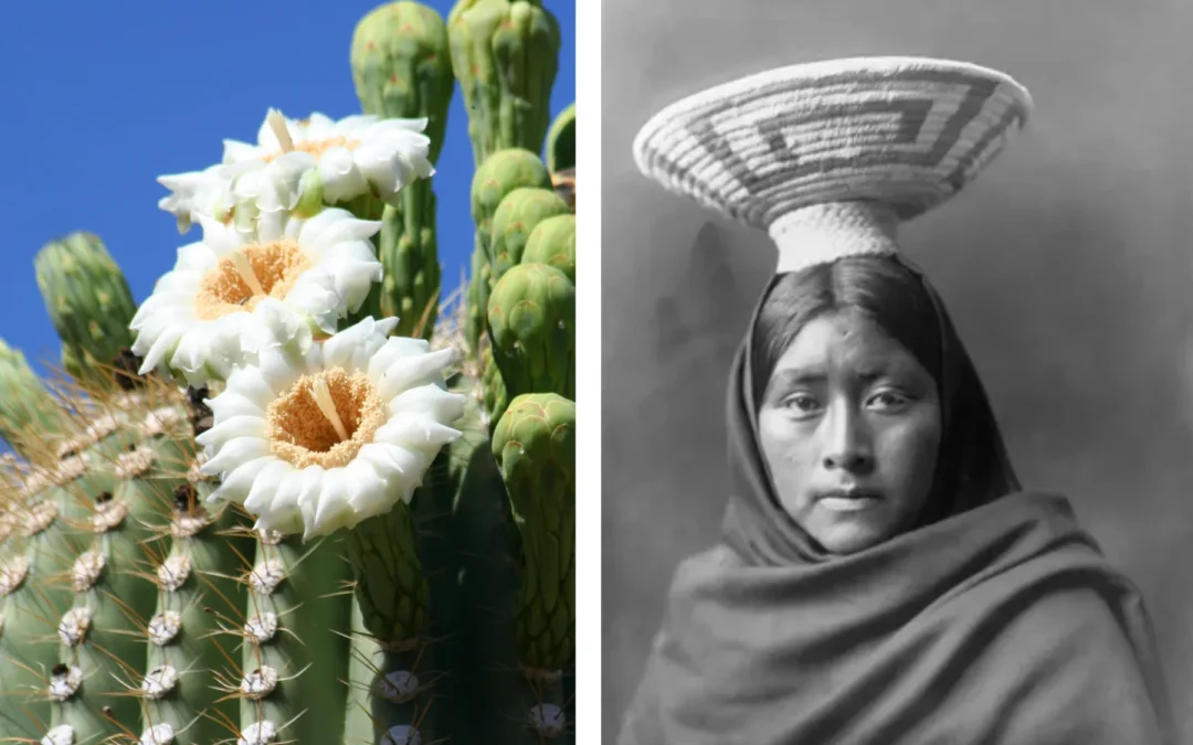 Plant symbolism across cultures