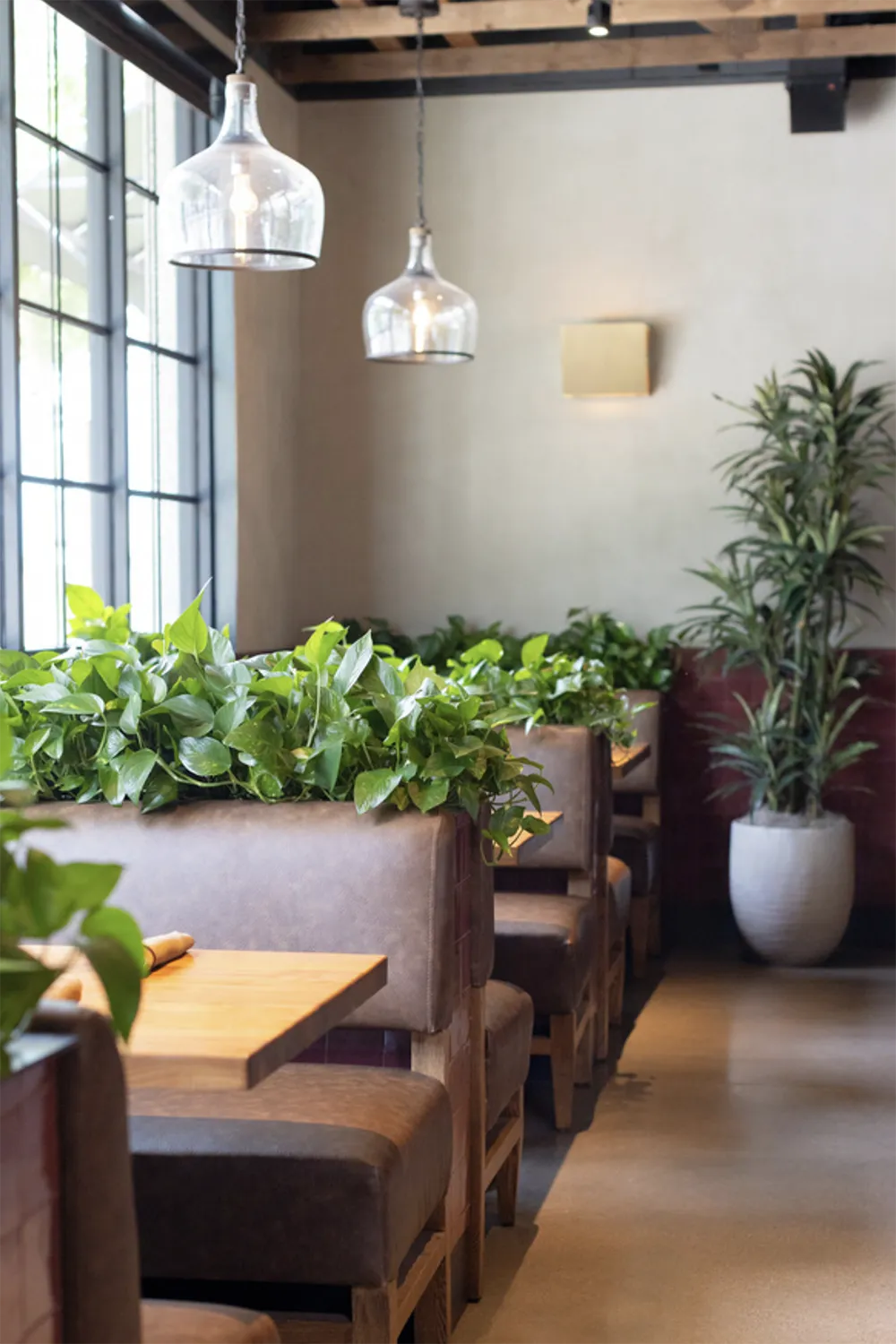 Blanco Cocina + Cantina