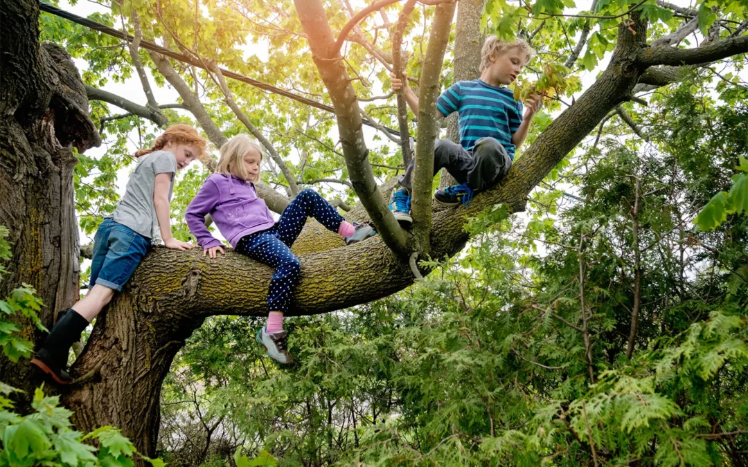 Why we must model a connection with nature to younger generations