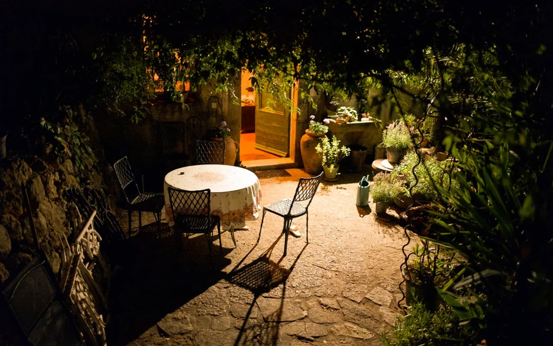 Plant design after dark: the power of moon gardens on business