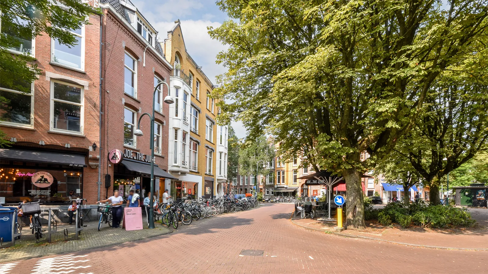 Wide photo of a walkable city, with a big tree as the centerpiece of the community's square.