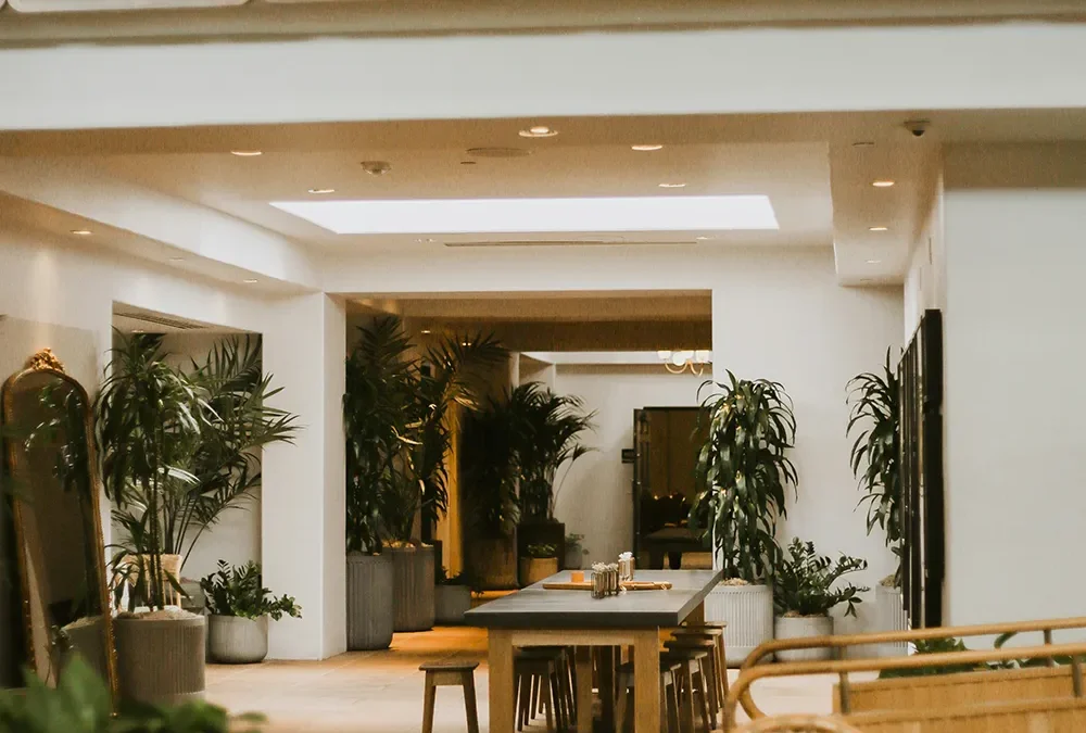 What is sick building syndrome and how do indoor plants purify the air?