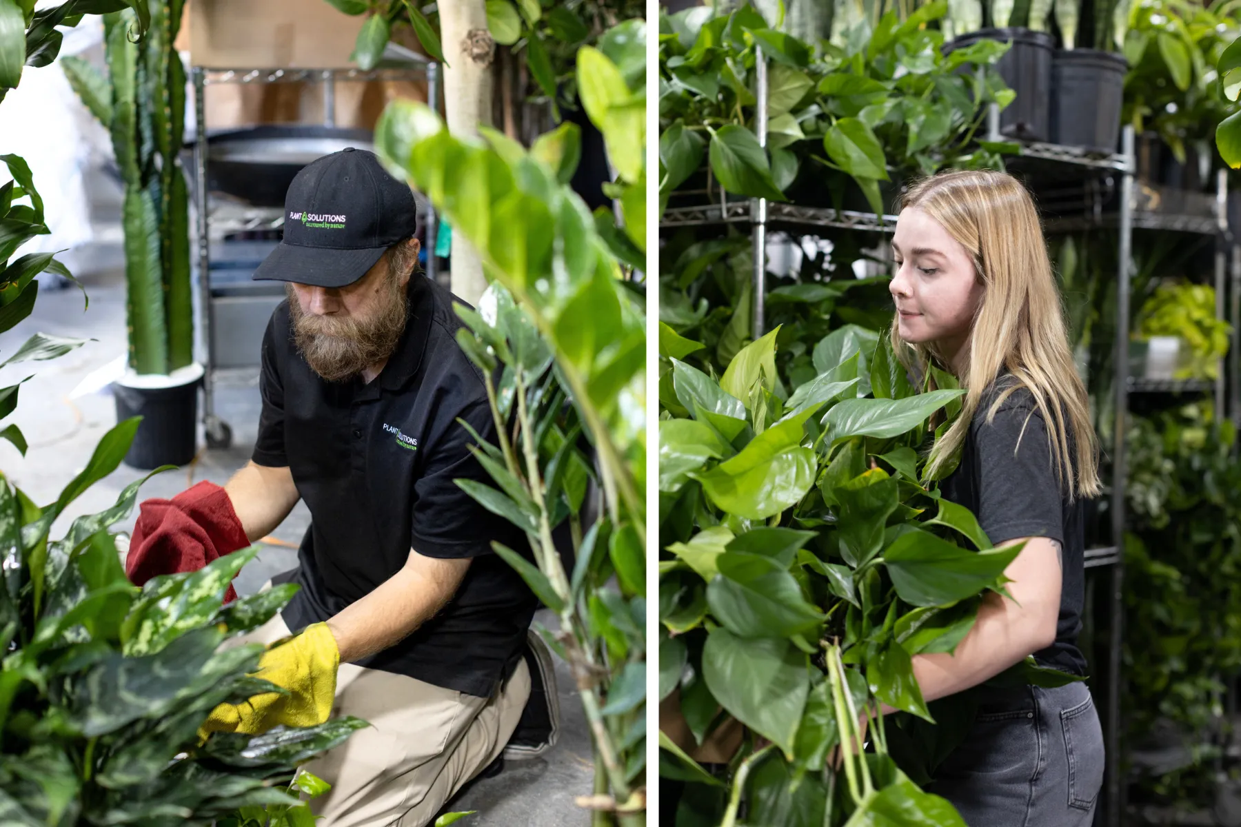 Our horticultural technicians preparing plants for the long haul.