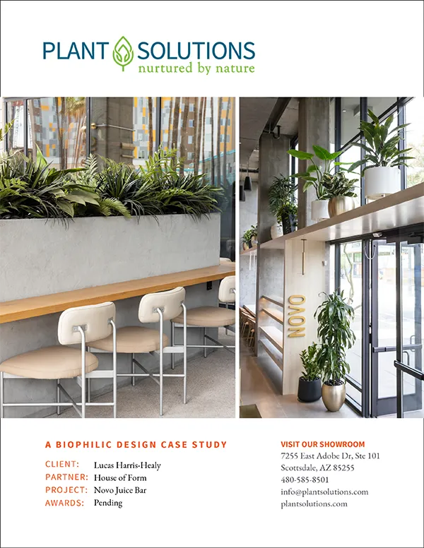 Benefits of Plants in the Workplace