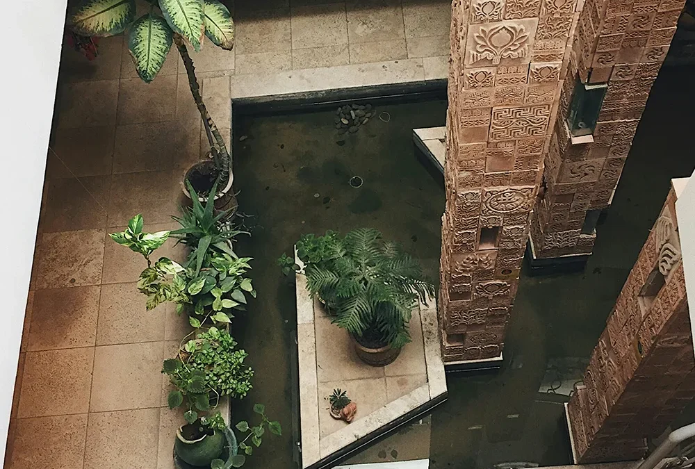 Hotels need plants: why nature-driven design wins in hospitality