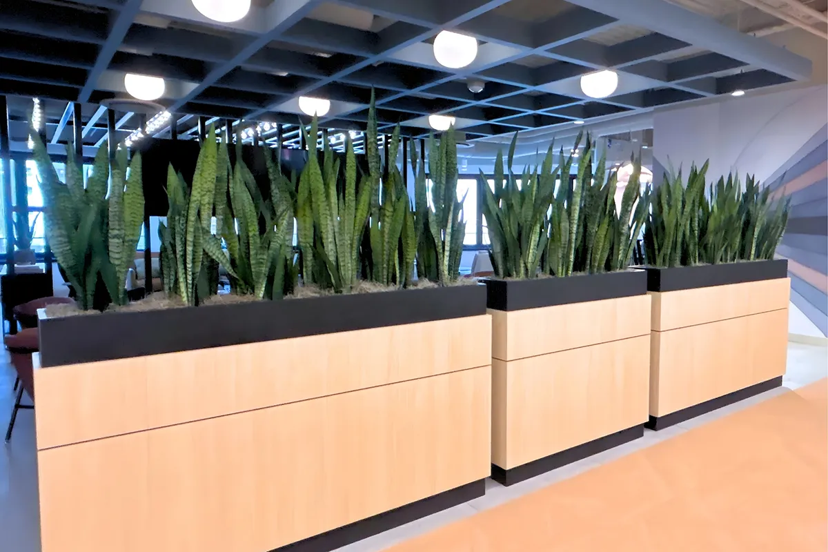 rectangular-planters-02