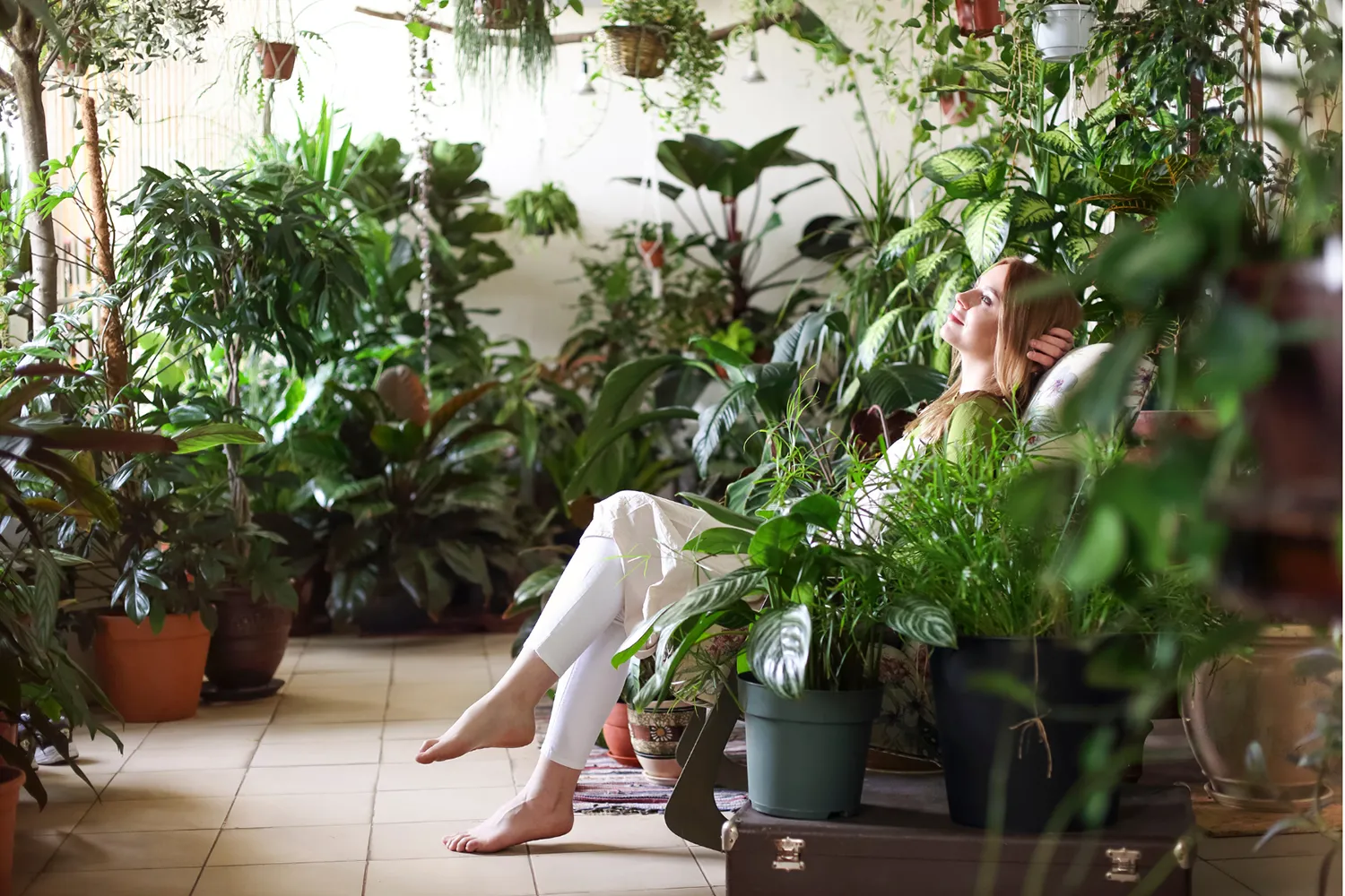 A woman relaxing in a plant-filled room, visualizing survey data that confirms the superior real vs. artificial plants psychological benefits experienced with live greenery.