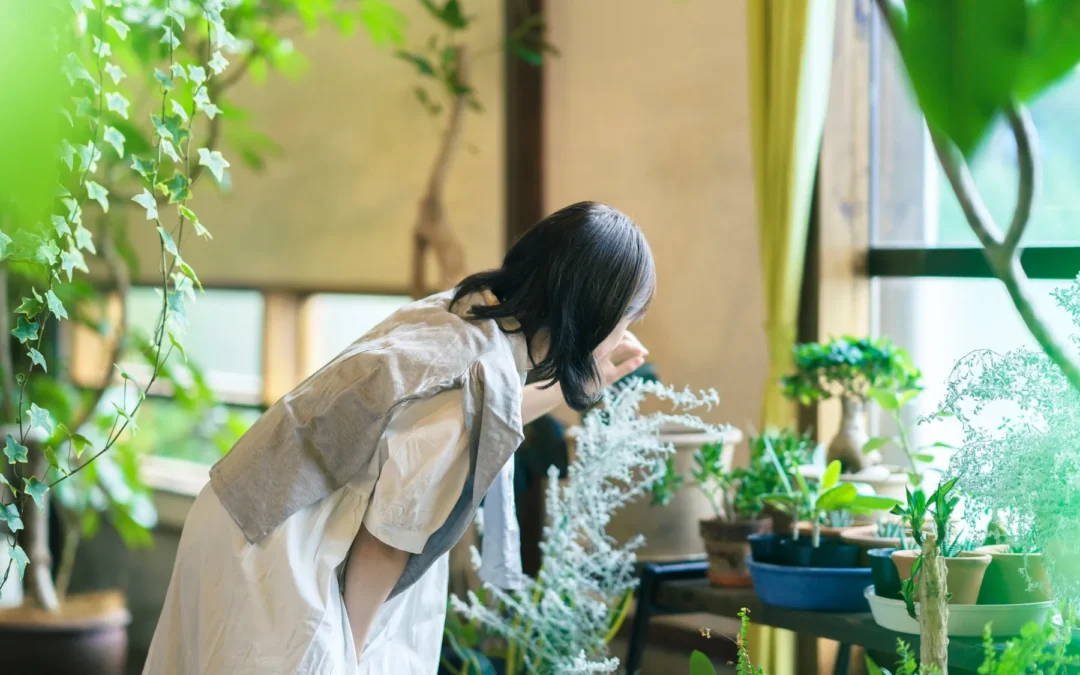 Can indoor plants heal anxiety and depression in college students?