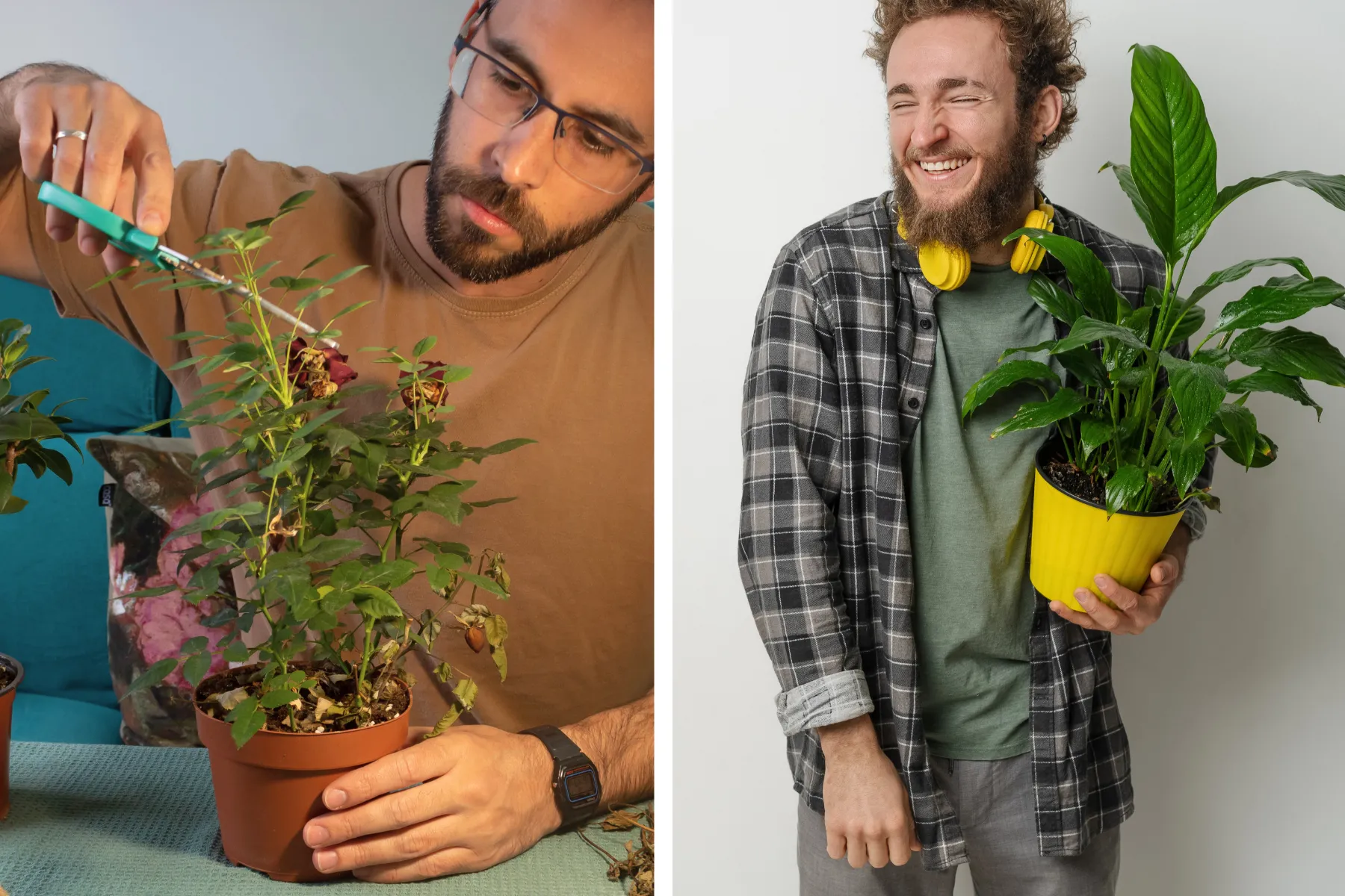 Two men caring for and posing with indoor plants.