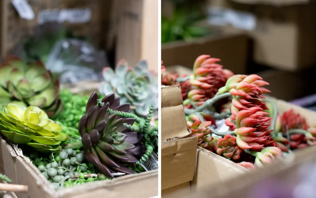 How global supply chains affect the cost of interior landscaping — and what Arizona businesses should know