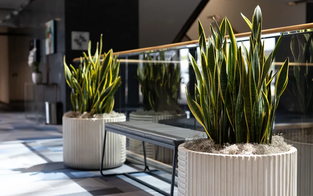 Interior landscaping — does my business need it?