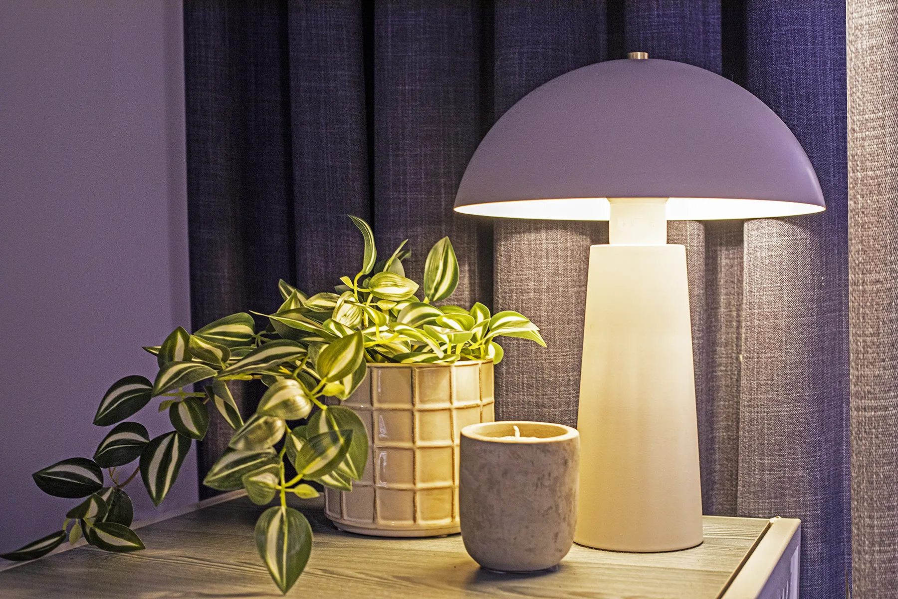 A light therapy lamp sits next to vibrant office plants to promote office wellbeing.