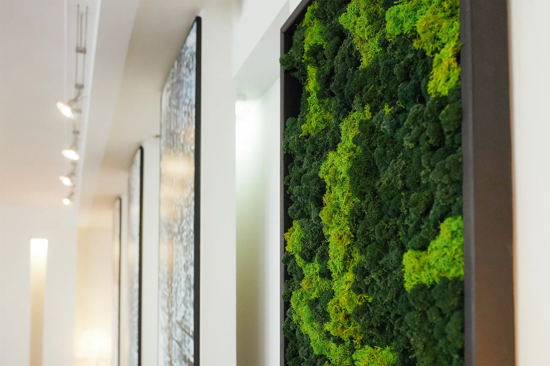 A living green wall showcasing biophilia in a school hallway to dampen noise and provide plant therapy.