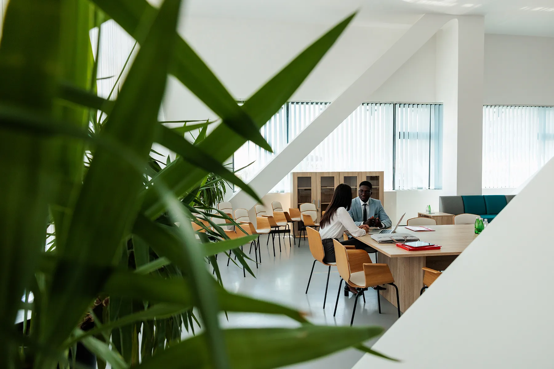 Biophilic design principles and plant therapy implemented in a modern classroom setting to reduce student stress.