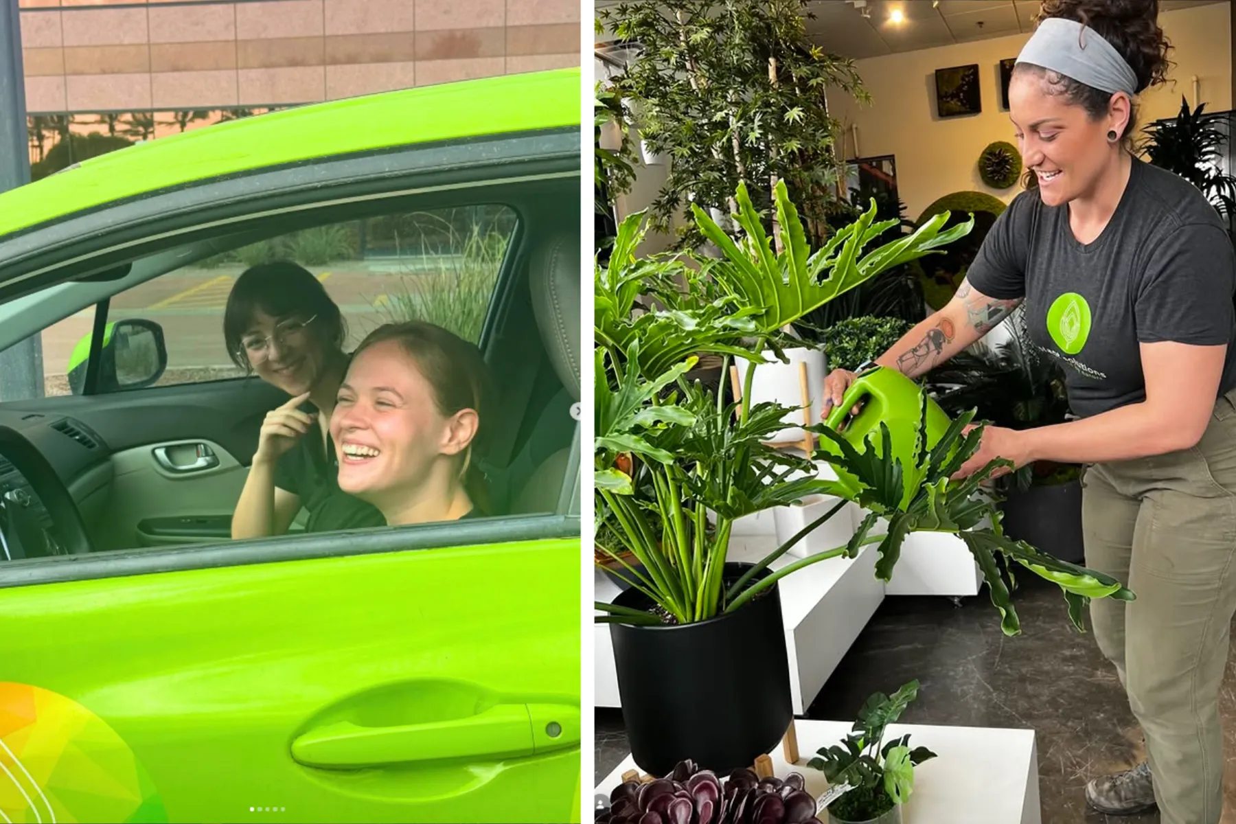 Two company horticulturists smiling inside a bright green vehicle next to a horticulturist using a green watering can to care for a large office plant.