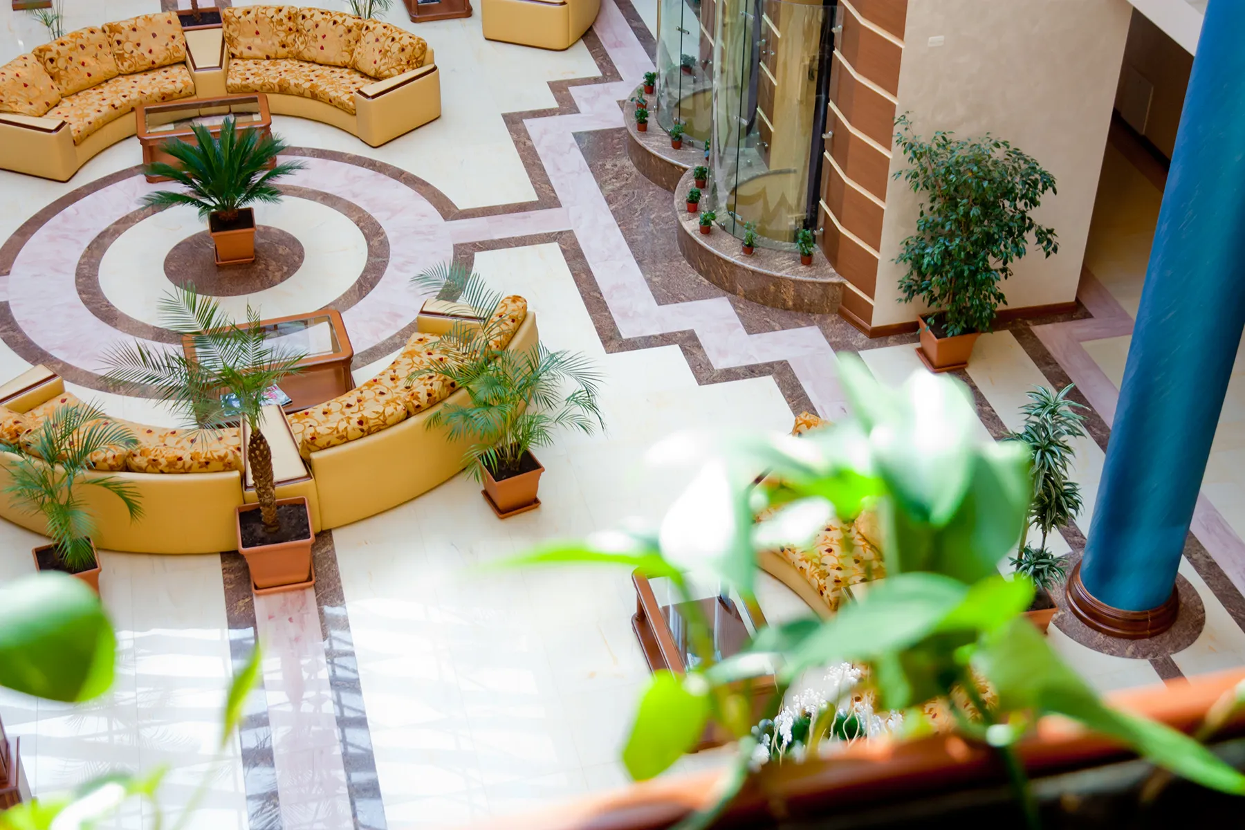 A beautiful corporate office atrium completely transformed by a comprehensive indoor commercial landscaping and plant rental program.
