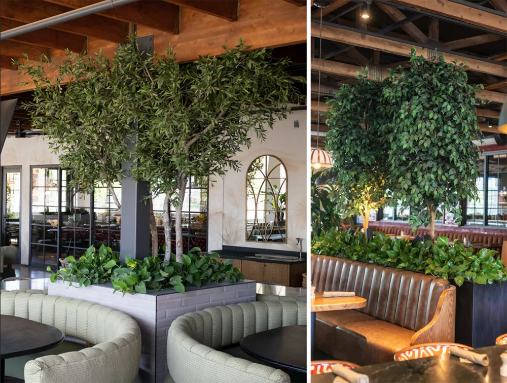 An inviting restaurant interiorscape with large leafy trees and planter boxes separating dining areas under an exposed ceiling.
