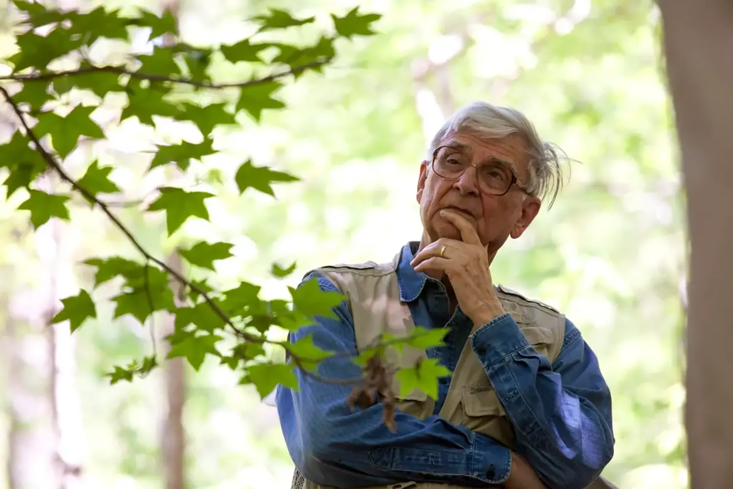 The father of biodiversity studying nature to inspire modern biophilic design.
