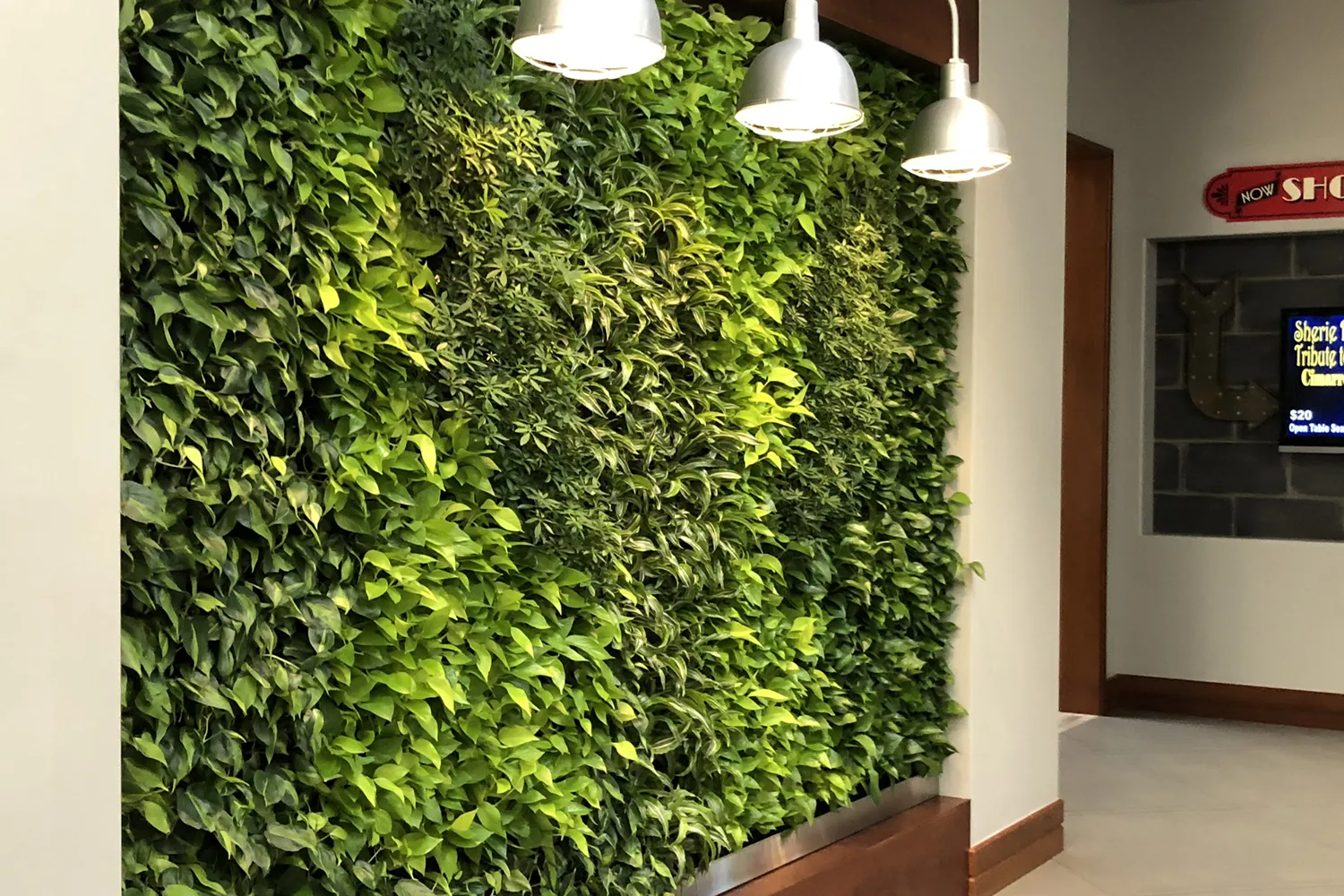 Plant wall featuring custom lights.