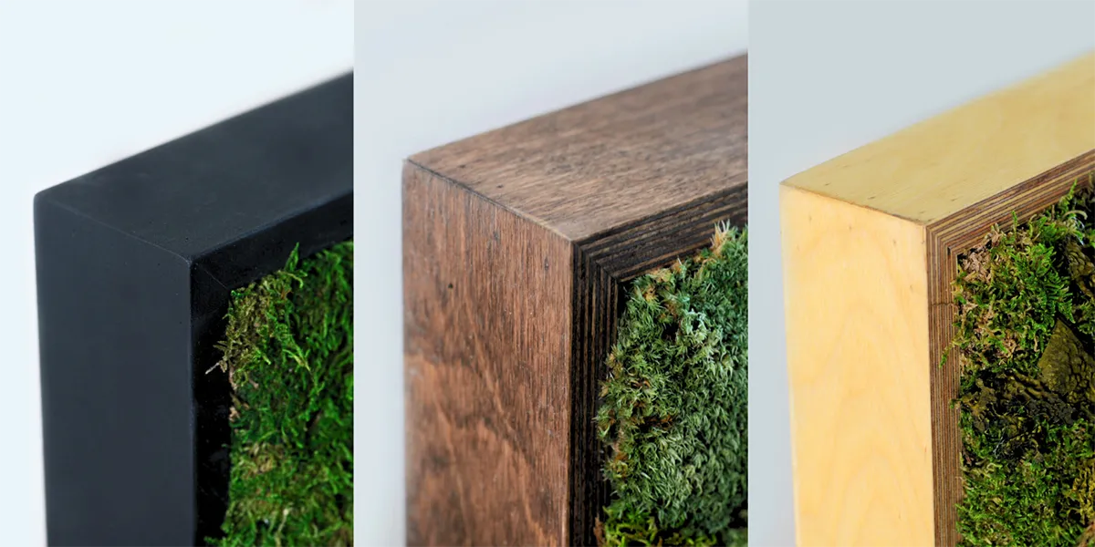 Frames for moss wall art can come in different materials to compliment the style of your space.