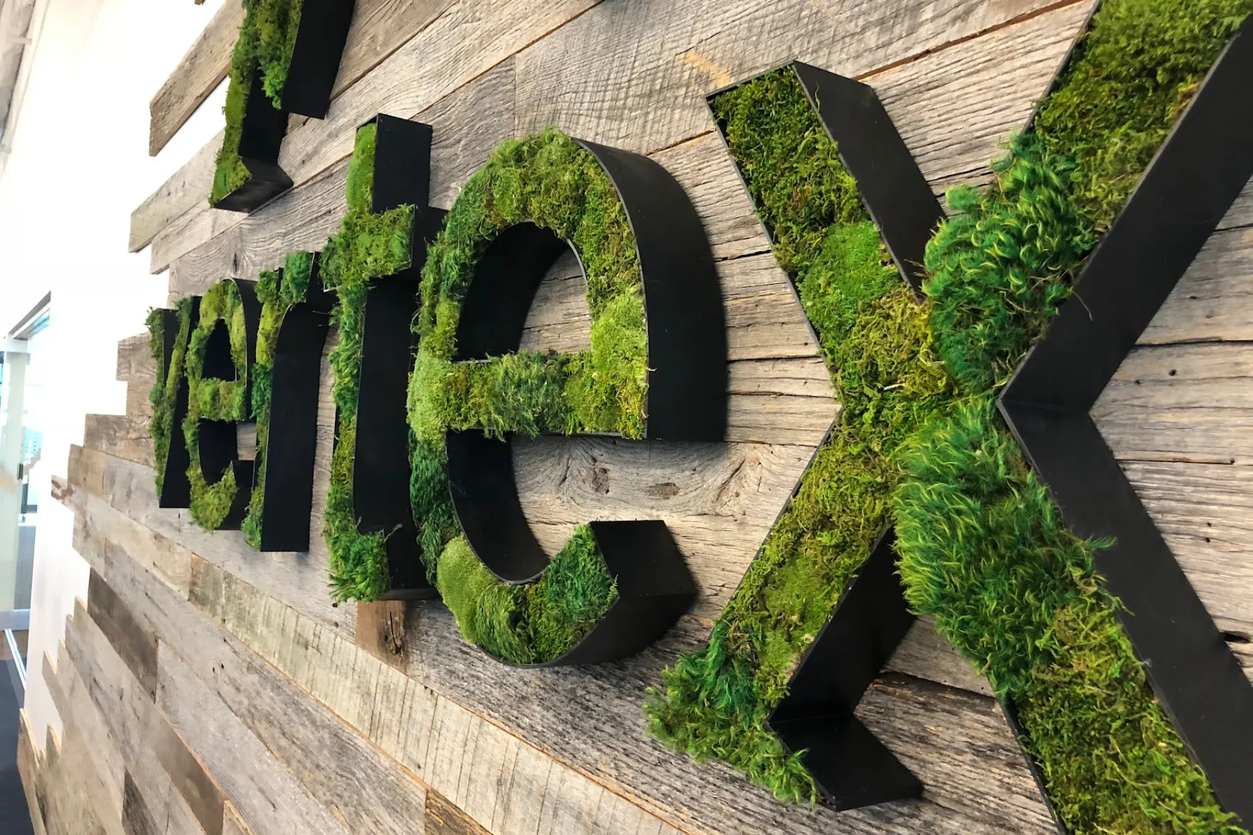 Turn your company's logo into a MossWallArt masterpiece.