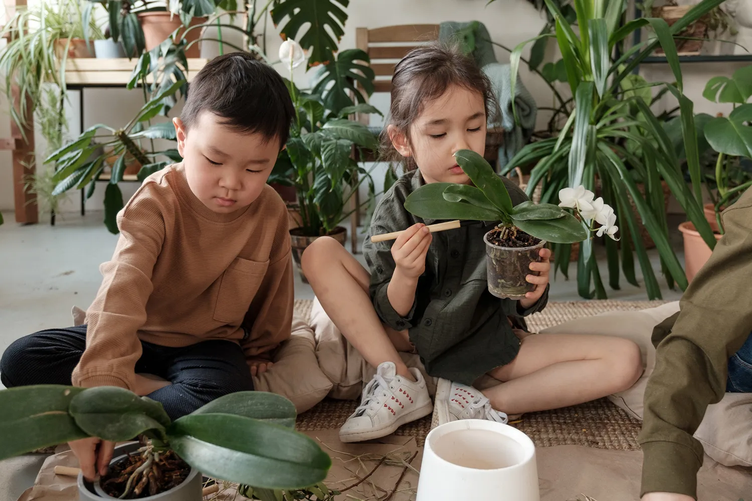 plant-design-sensory-room