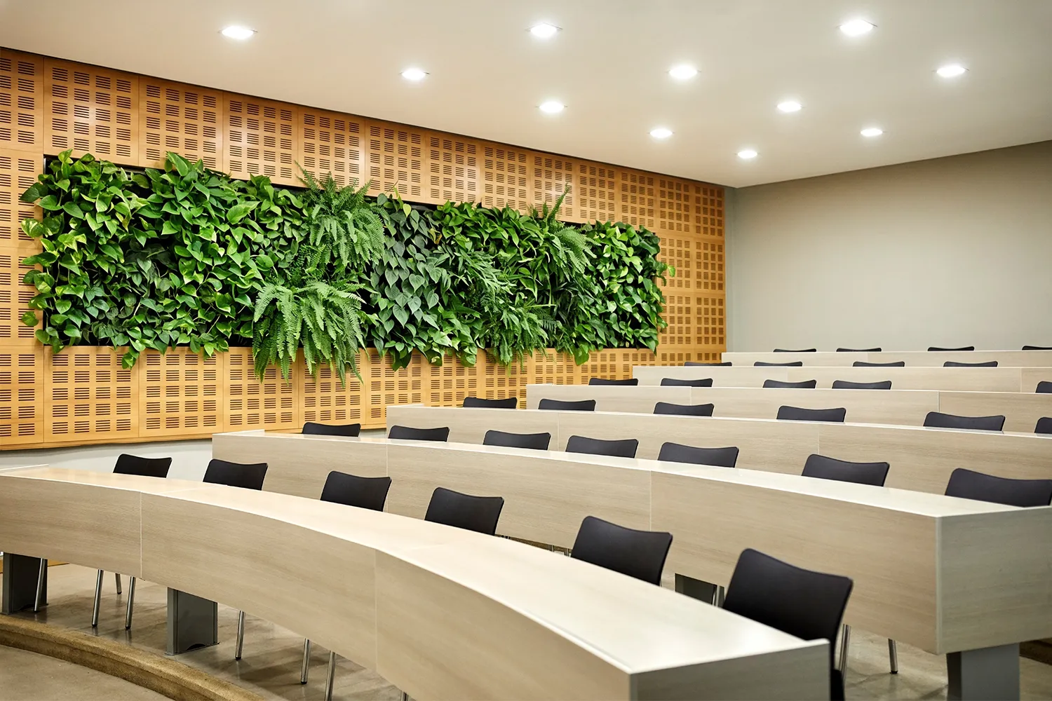 Maximizing Plants Benefits in Schools A bright university classroom showcasing the plants benefits in schools through large indoor living walls.
